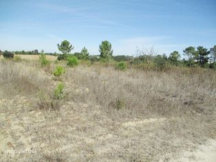 Terreno Rústico c/ 19.500 m² - Reserva Agrícola (Não pode construir) - Grande imagem: 5/7