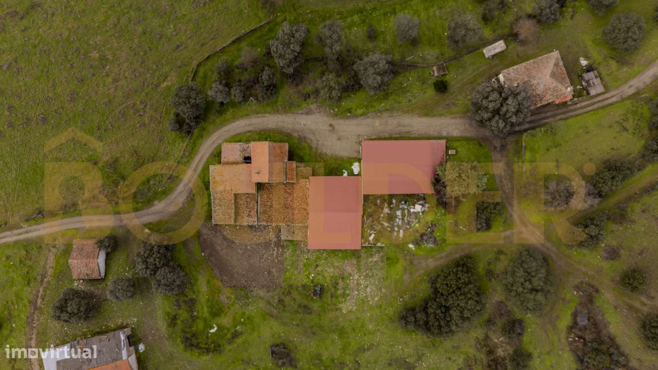 Quinta do Arieiro - Cedovim | Vila Nova de Foz Côa | Douro Superior-18