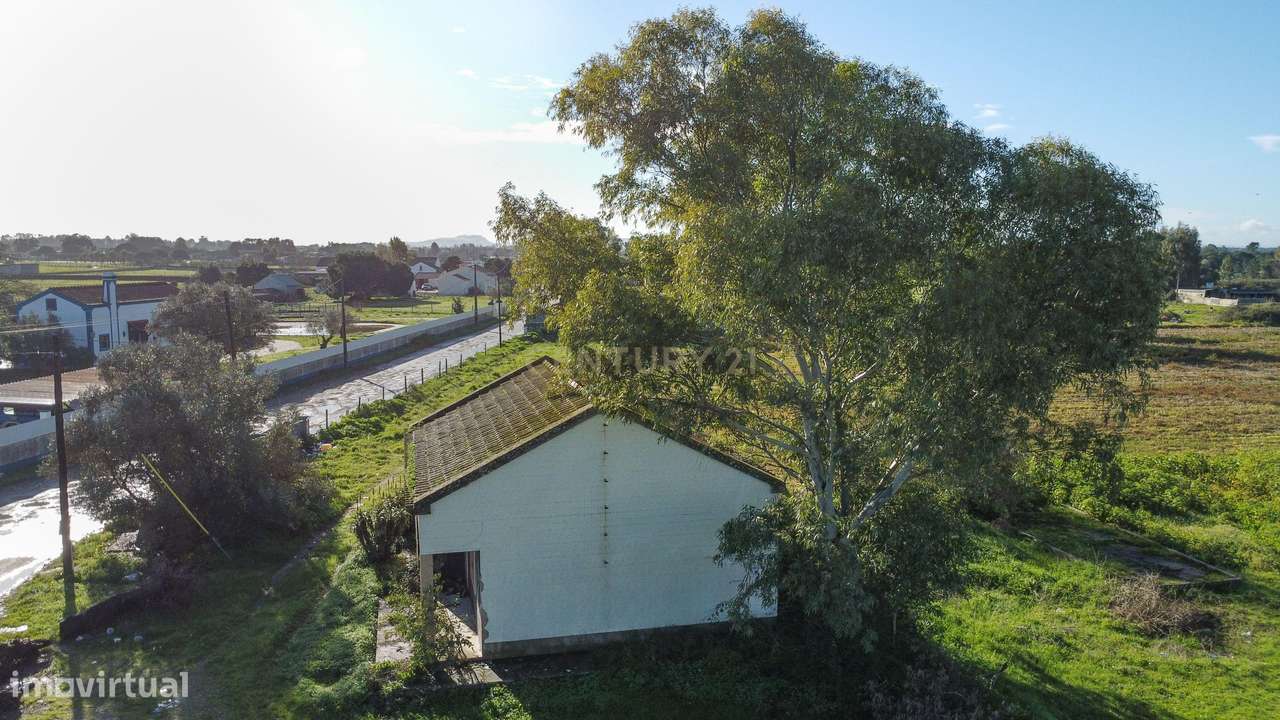 Quinta  Montijo - Jardia p/ Reabilitação c/ 14.000m2  - 3 licenças urb-13