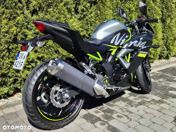 Kawasaki Ninja - 5