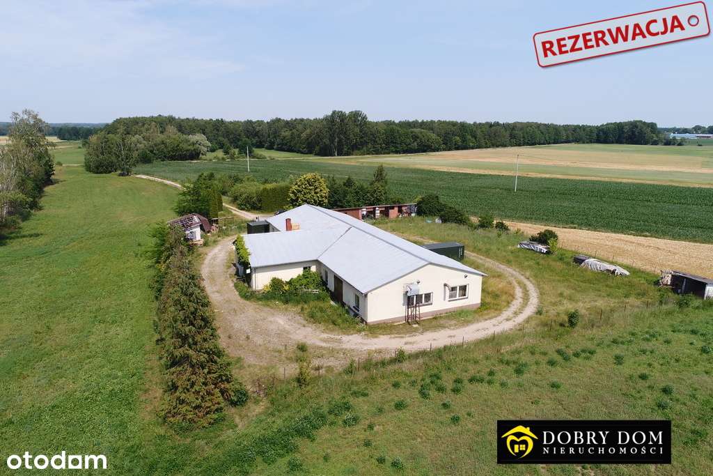 Hala magazynowa 600 m2 w bardzo dobrym stanie