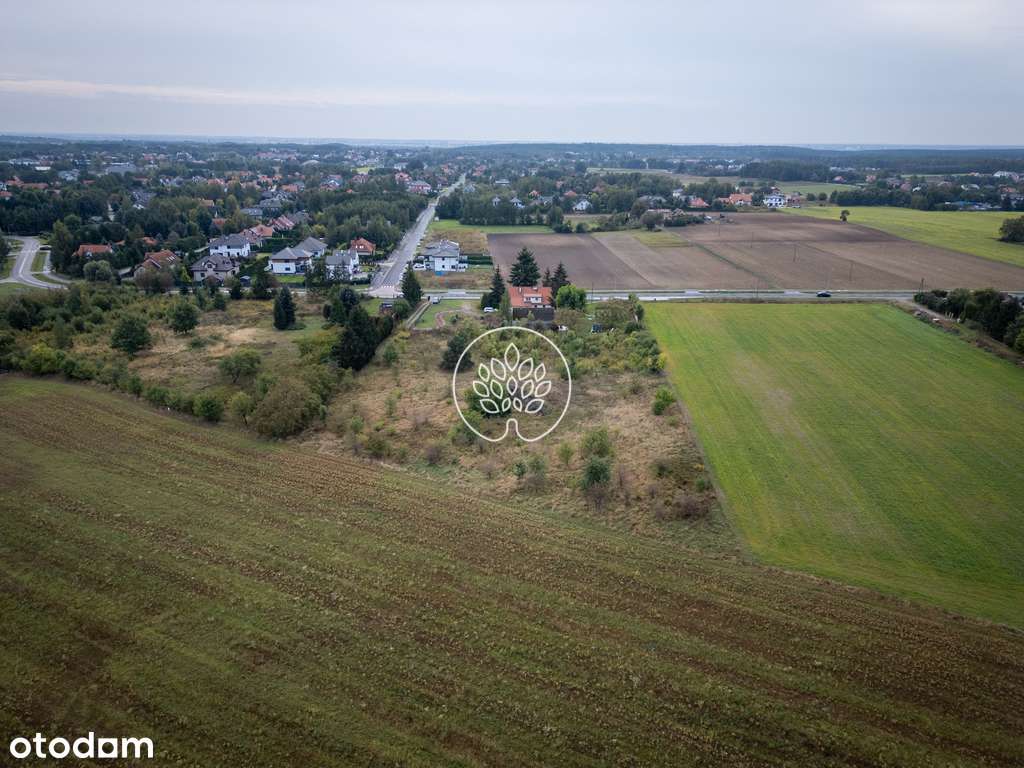Piękna działka 6648 m² w podbydgoskim Niemczu! - Pełny obrazek: 5/8