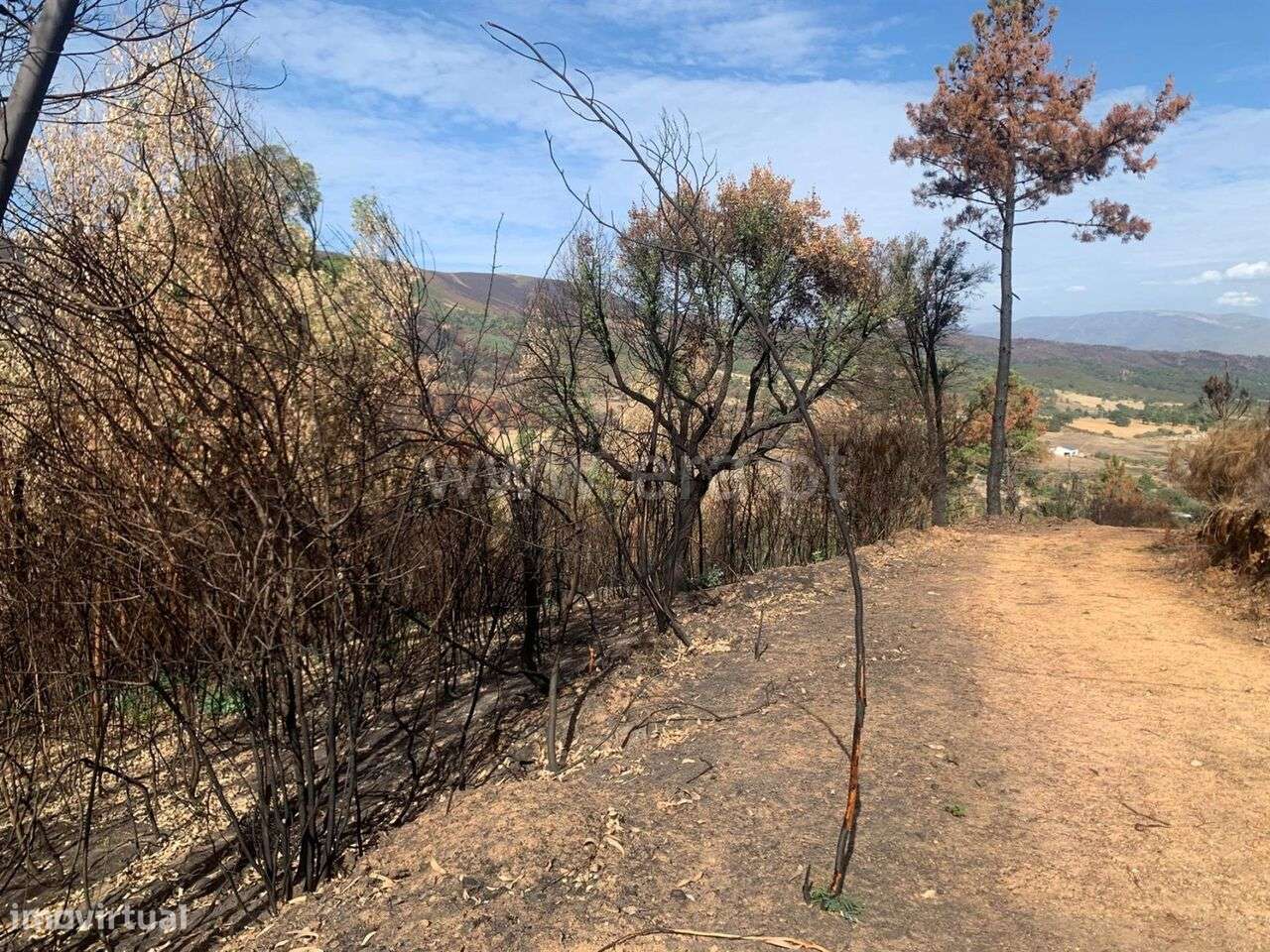 Terreno / Fundão, Freixial - Vista 5