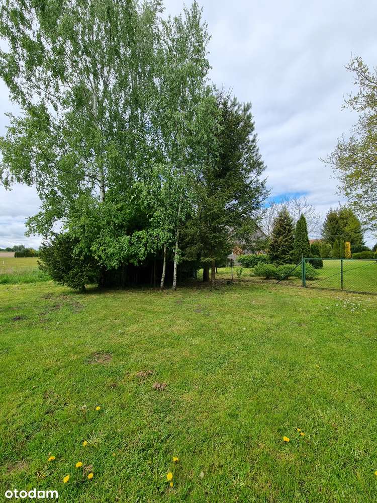 Działka, 79 000 m², Henrykowo-2