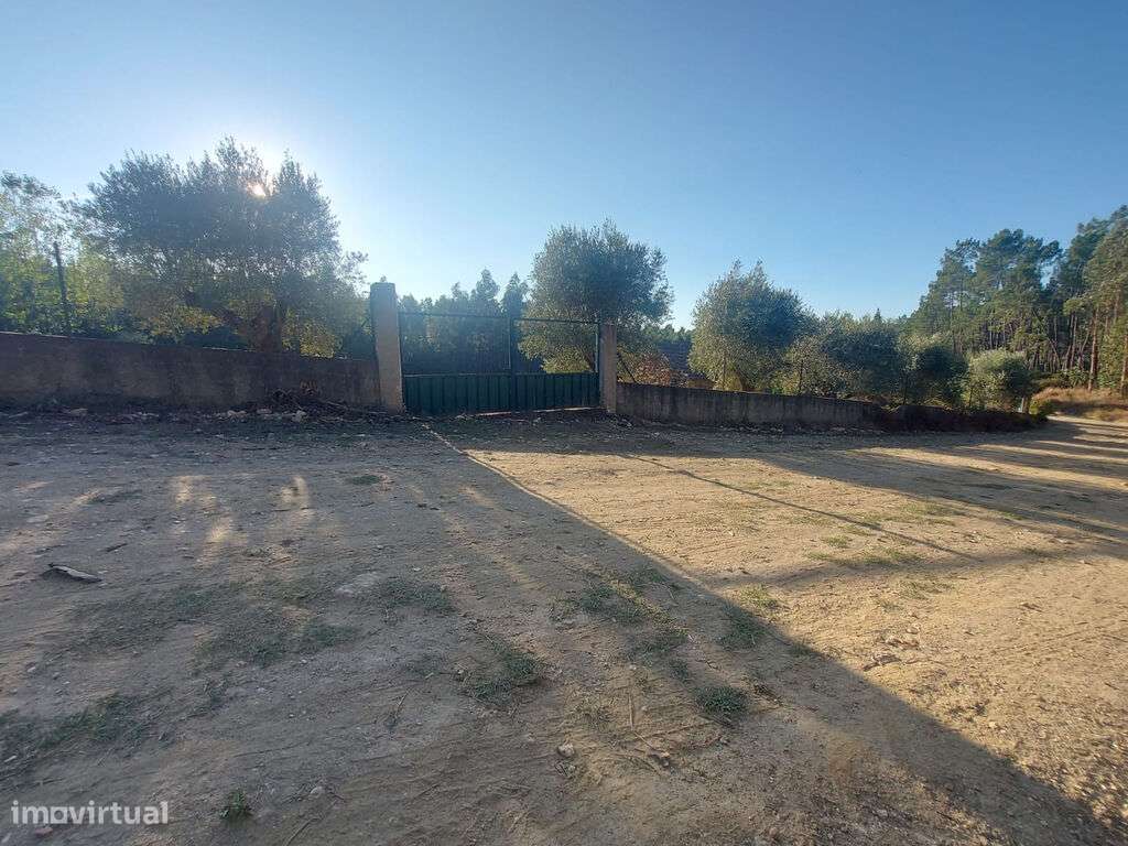 Quinta c/casa agrícola 6975m2 Meda de Mouros - Grande imagem: 4/9