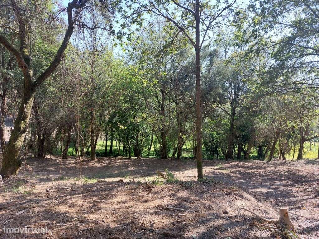 Quinta c/ Casa em Pedra p/ Restauro - Caires - Grande imagem: 5/33