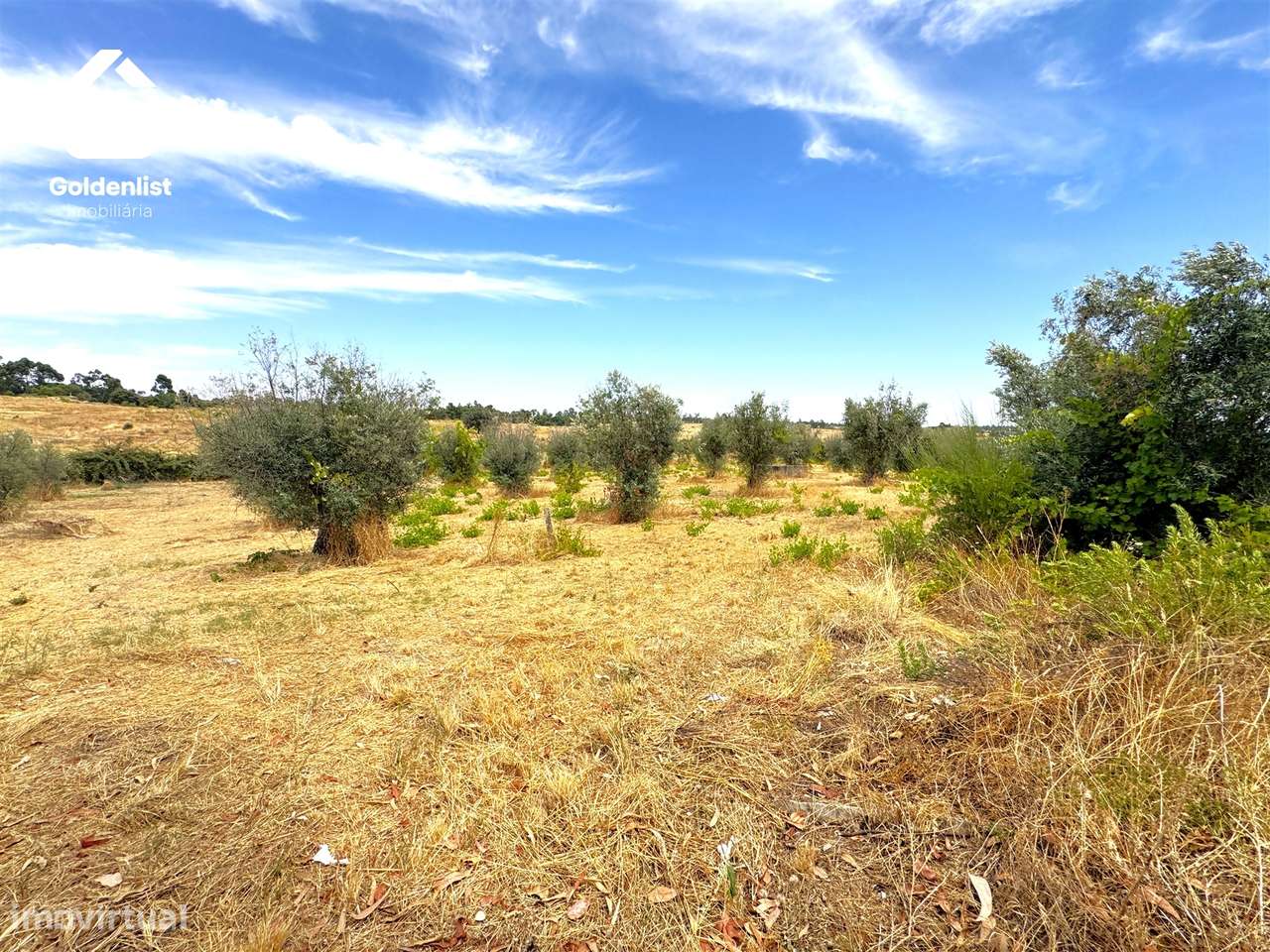 Quintinha  Venda em Escalos de Cima e Lousa,Castelo Branco-24