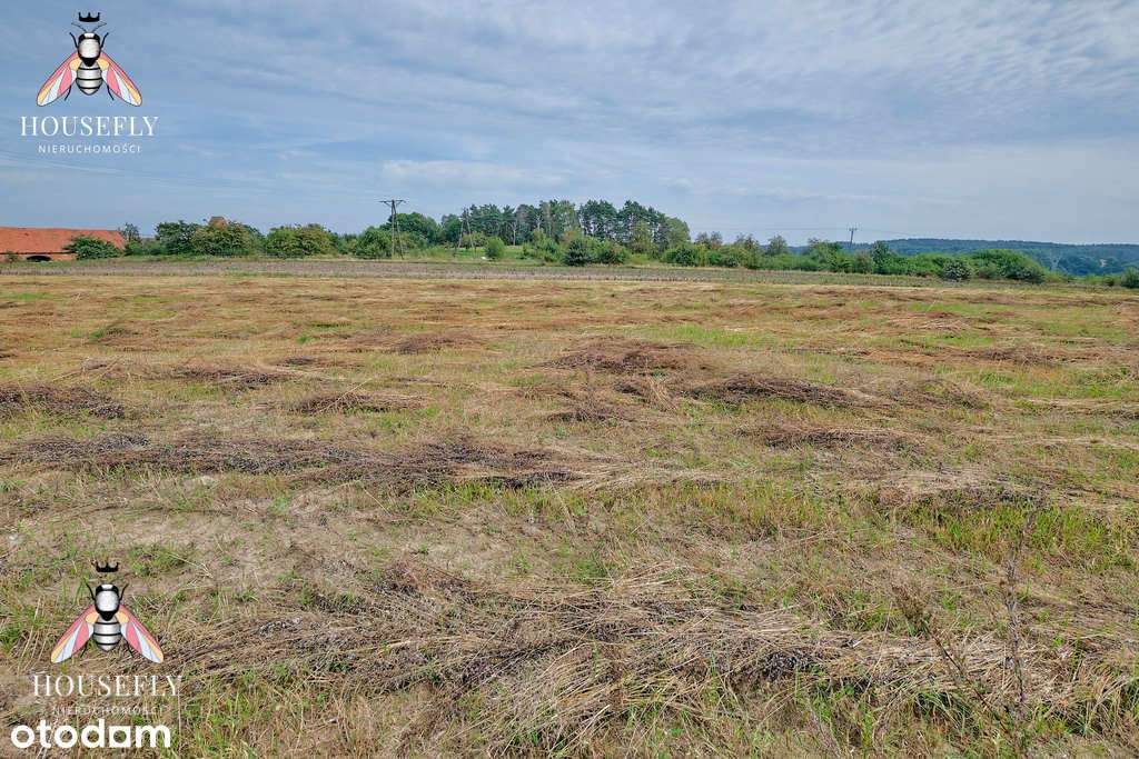 Działki budowlane w pobliżu Bytomia Odrzańskiego - Pełny obrazek: 4/6