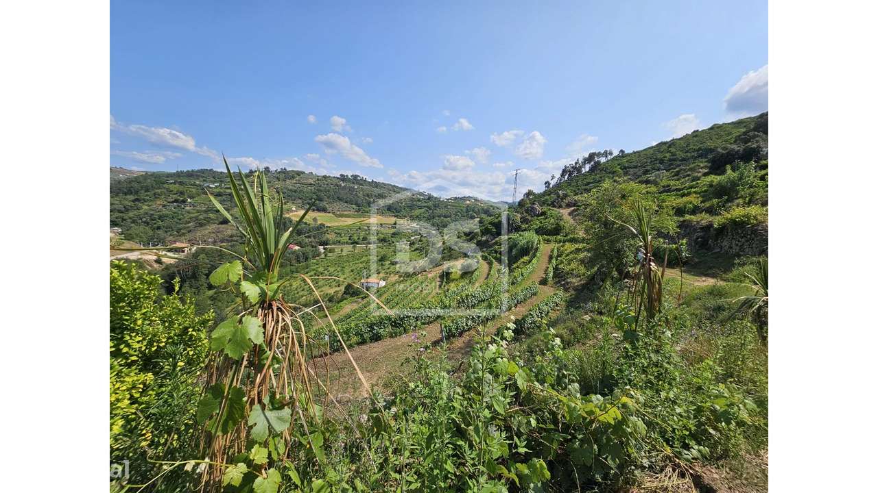 Quinta  Venda em Várzea de Abrunhais,Lamego-9