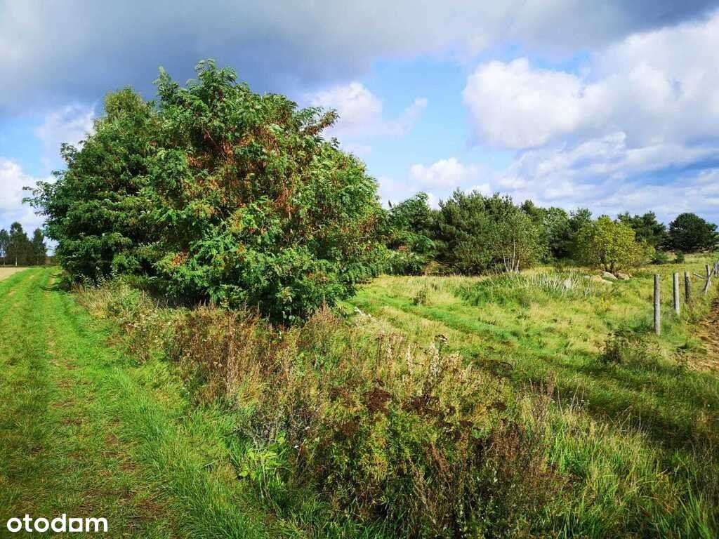 Świeszewo,gm.Gryfice,1.8458ha,Decyzja wz,pod dom. - Pełny obrazek: 4/17