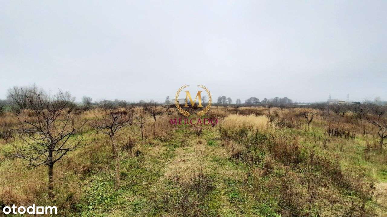 Działka inwestycyjna ponad 4 ha przy jeziorze - Pełny obrazek: 4/7