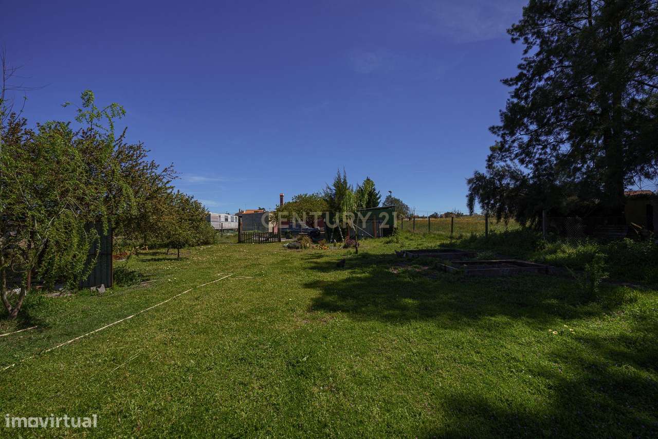 O Refúgio Perfeito em Cajados: Natureza e Duas Moradias num Só Investi-25