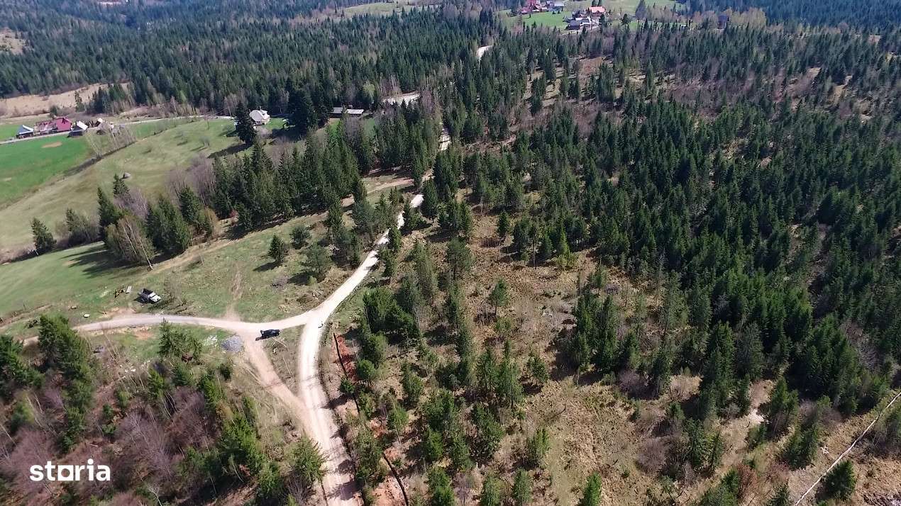 Teren intravilan 3,584mp Calatele Padure-4