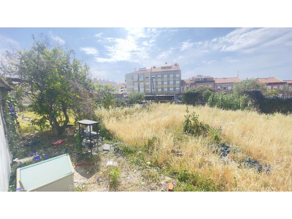 Terreno rústico com 2000m2 na Ajuda - Grande imagem: 3/7