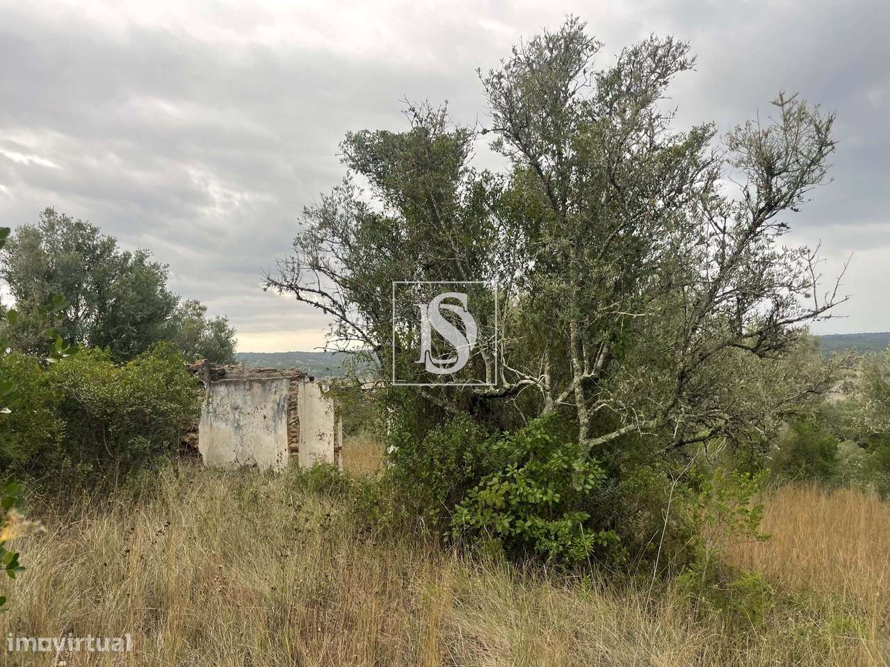 Quintinha em Montargil-28