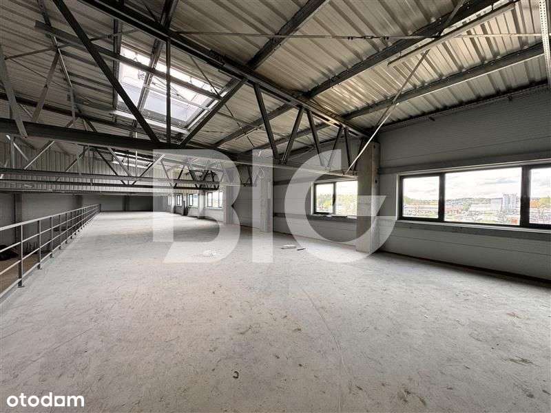 Nowy magazyn, hala produkcyjna, świetna lokalizacj - Pełny obrazek: 5/6