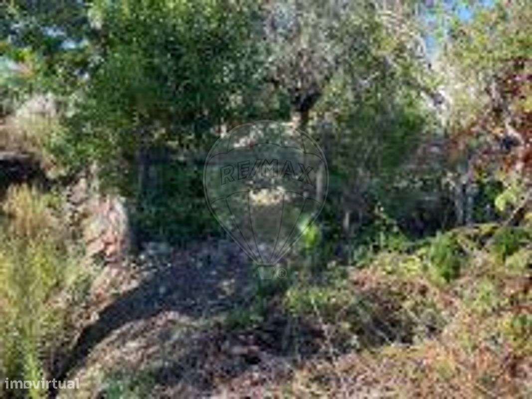 Terreno  para venda - Grande imagem: 5/15