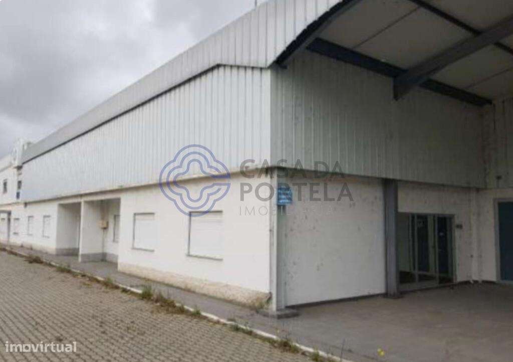 Armazém em Salvaterra de Magos - Muge - Grande imagem: 4/25