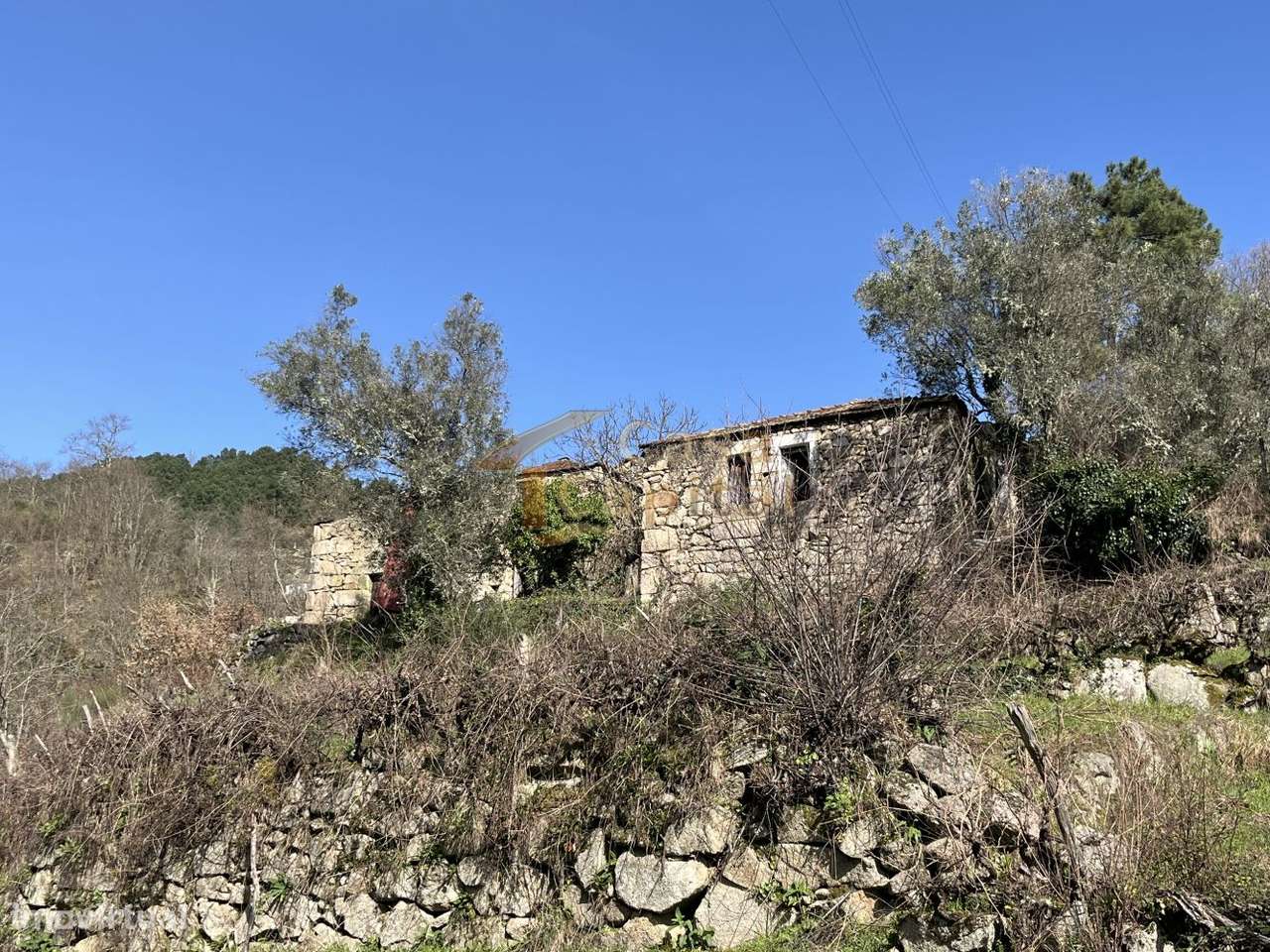 Quinta dos Ujos  - Quintelas-8