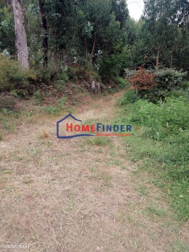 Terrenos com aprox. 2.490 m2 - Monção - Grande imagem: 4/26