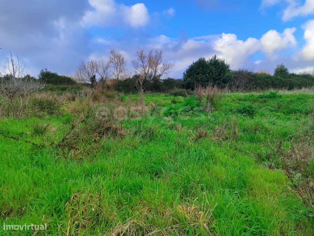 Terreno com cerca de 1500m², localizado na vila de Pataias - Grande imagem: 4/9