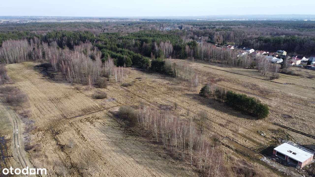 Działka budowlana w Głogowie pod lasem-3