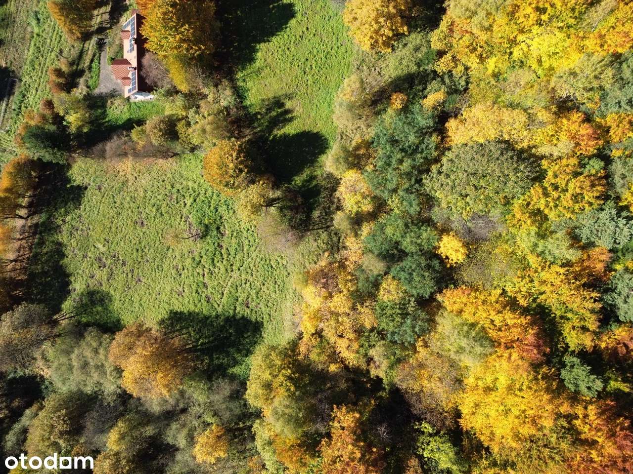 Widokowa działka z własnym lasem! - pod dom, domek weekendowy, domki-9