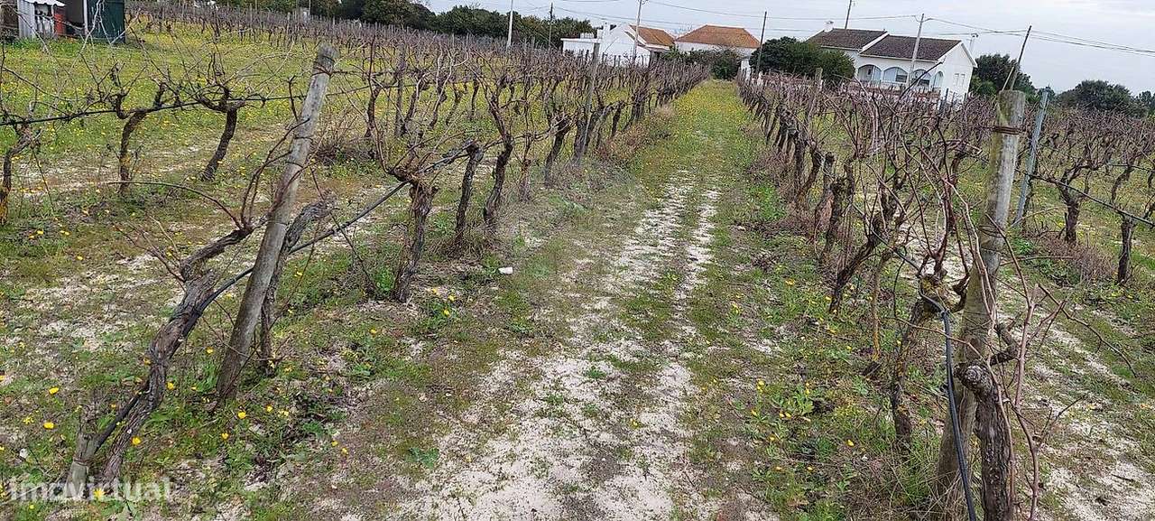 Terreno  para venda - Grande imagem: 5/12