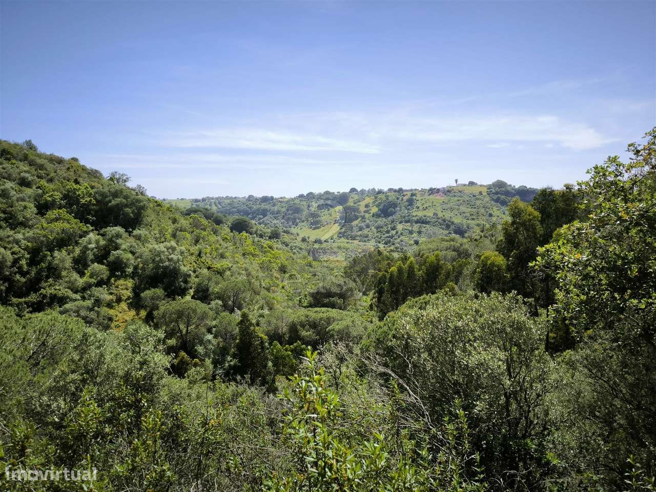 Terreno Rústico com 11,95ha com viabilidade de construção no Litoral A - Grande imagem: 4/14