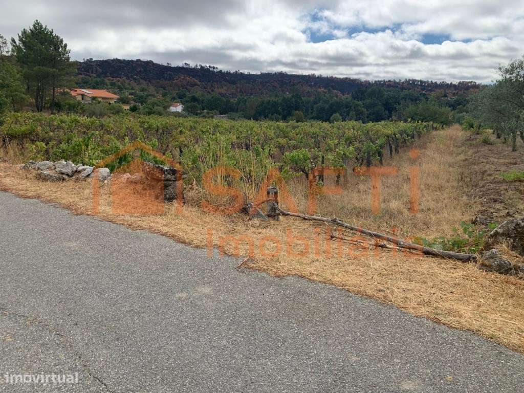 Terreno à venda em Prados - Pinhel-1