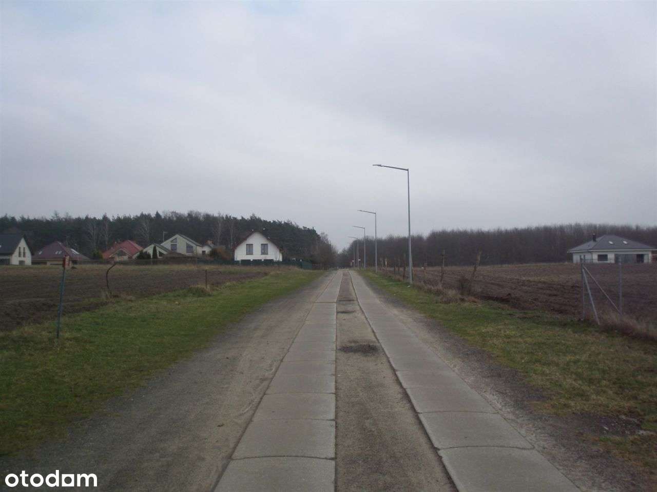 Działka Chludowo - Pełny obrazek: 3/9