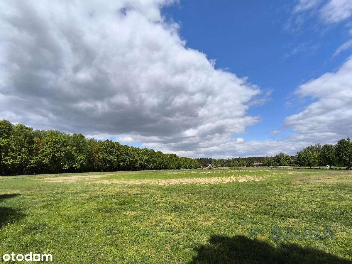 Duża Działka Budowlana w otoczeniu przyrody - Pełny obrazek: 2/16