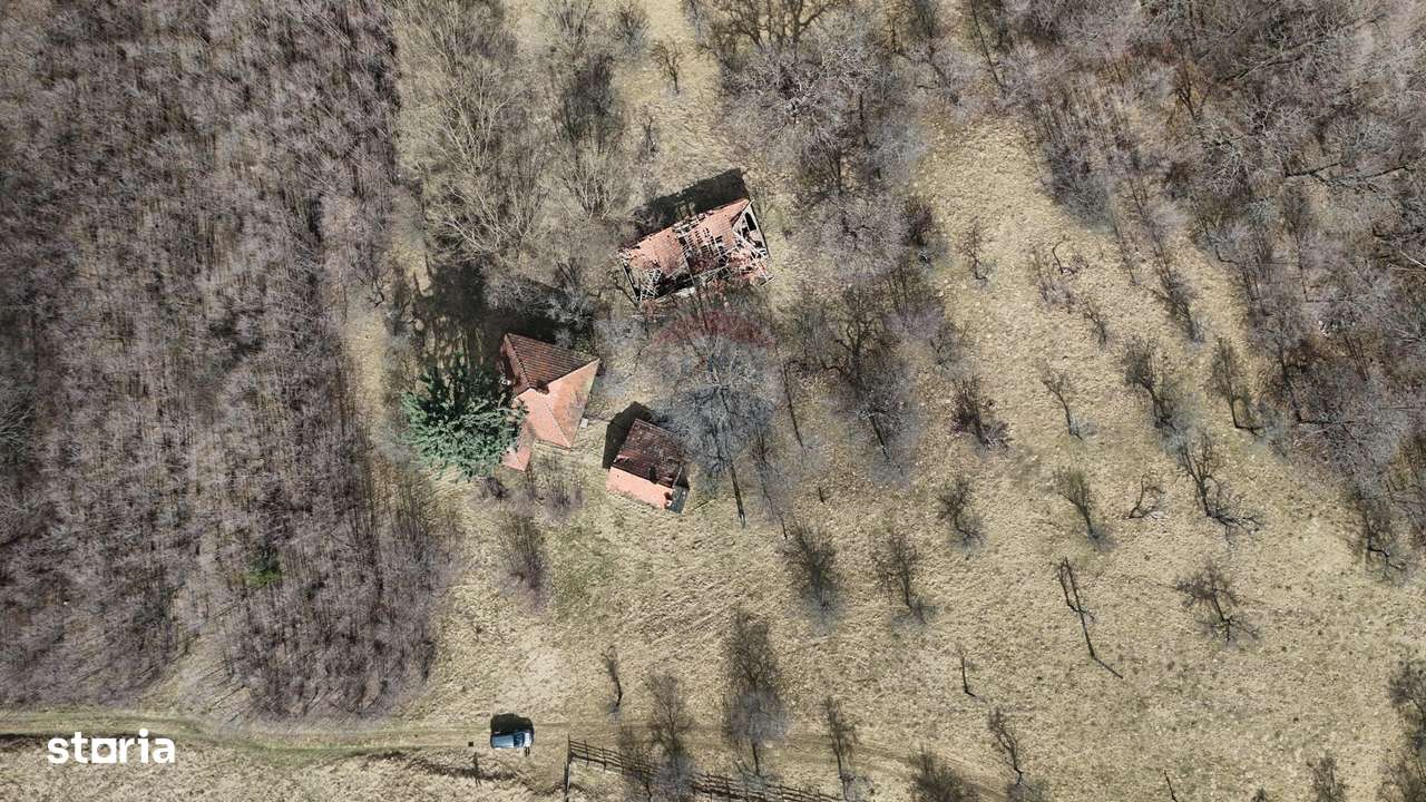 16 E+TVA/mp: Teren Bran Predelut 24253 mp intravilan proiect turistic-2