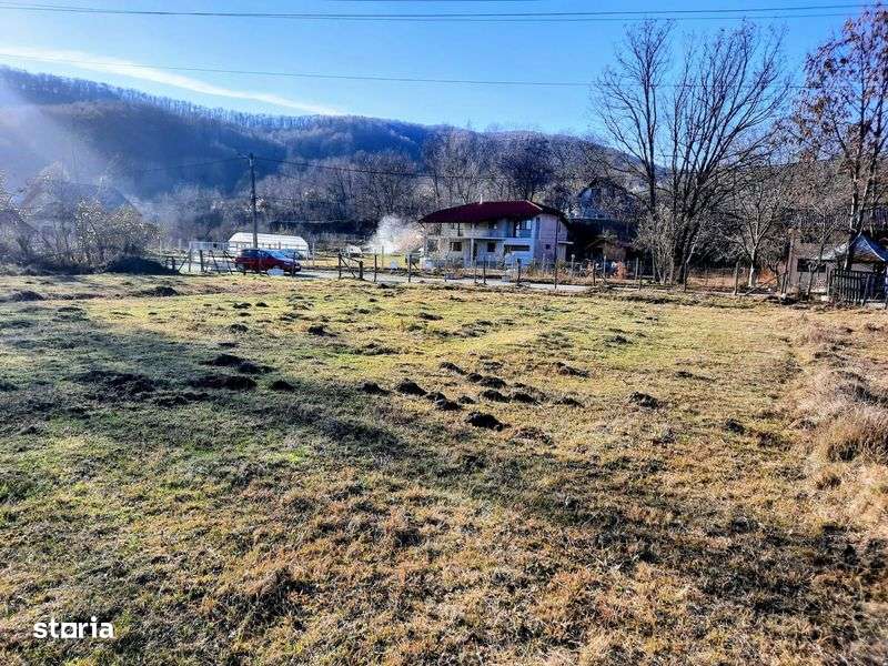 Teren intravilan Pucioasa acces drum asfaltat DN 71 - DC 136A - Imagine principală: 4/7