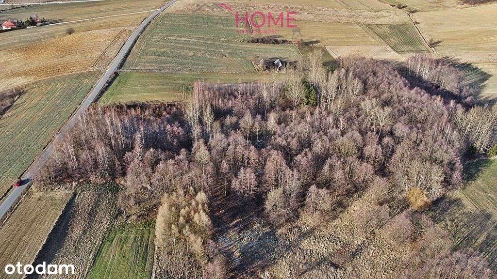 Sprzedam działkę w Olimpowie - Pełny obrazek: 4/7