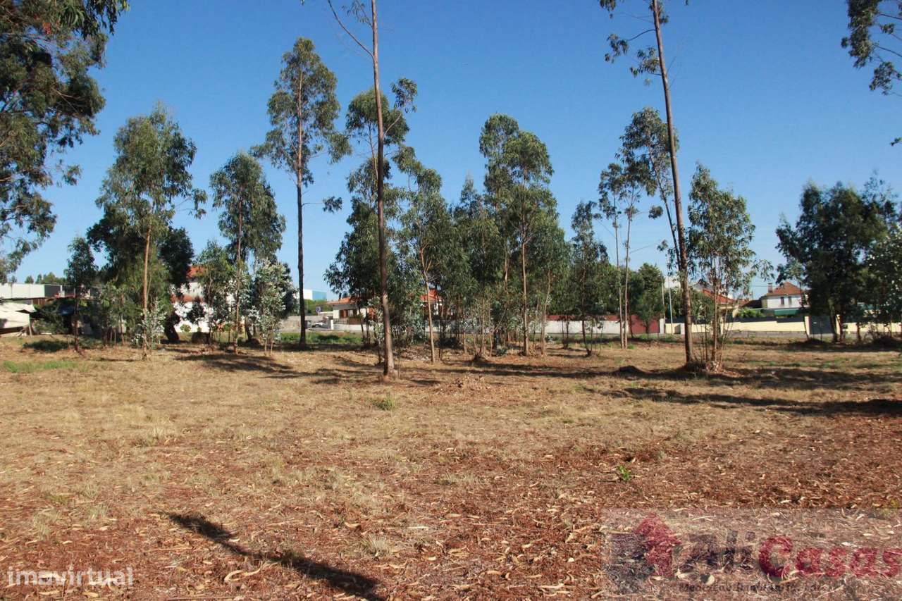 Excelente Terreno P/Construção em Altura-20