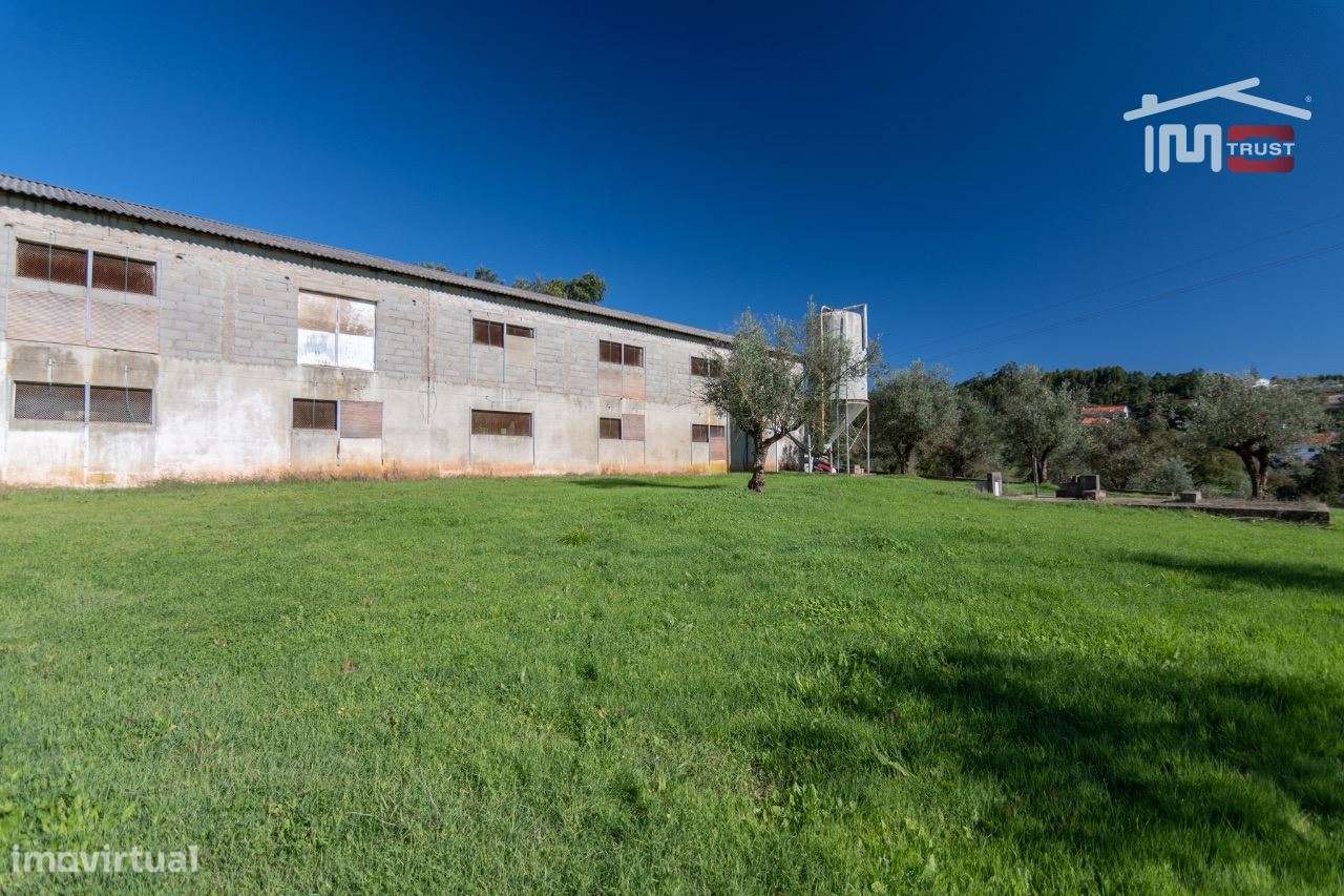 Antigo Aviario para venda - Grande imagem: 2/18