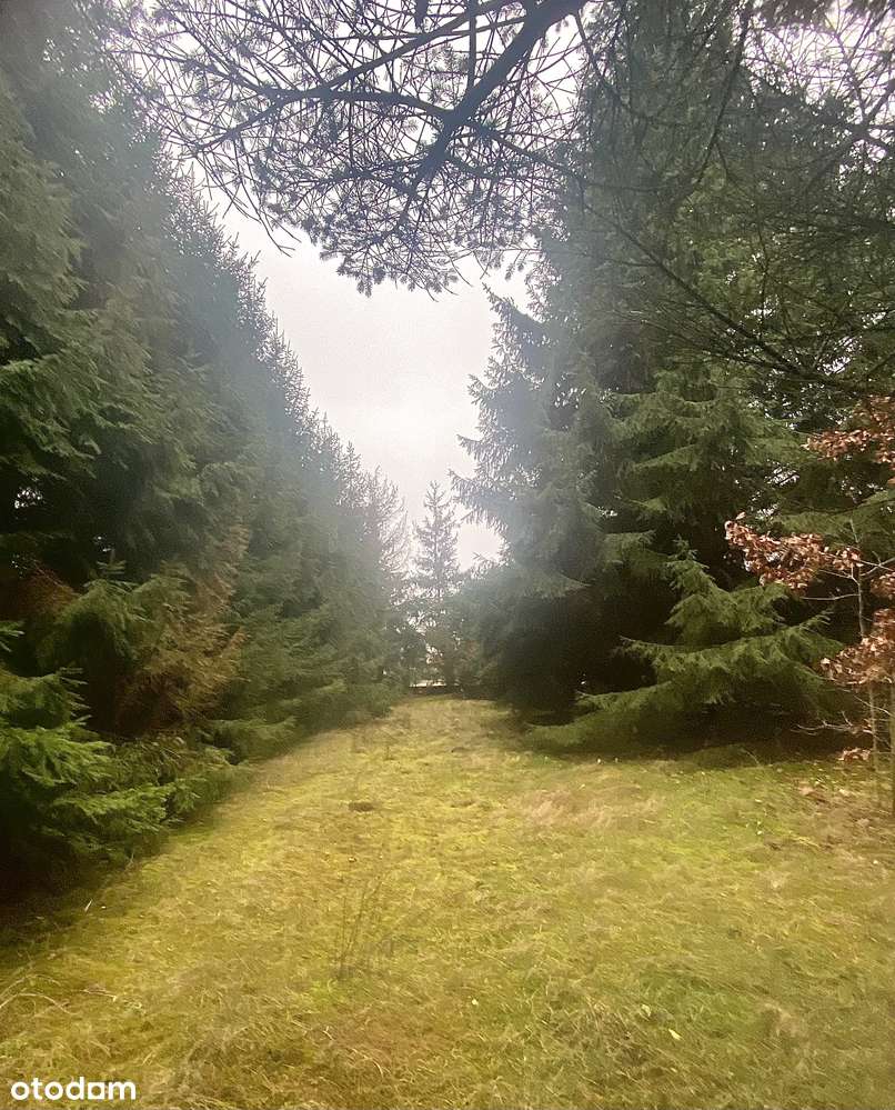 Działka z domem/ węzeł Tarczyn /-6