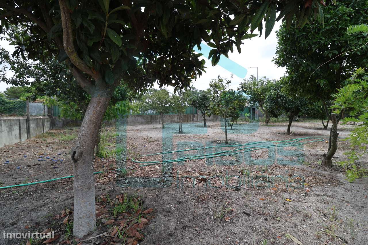 Moradia, Quinta do Conde, Sesimbra piscina, terreno c/arvores de fruto-58