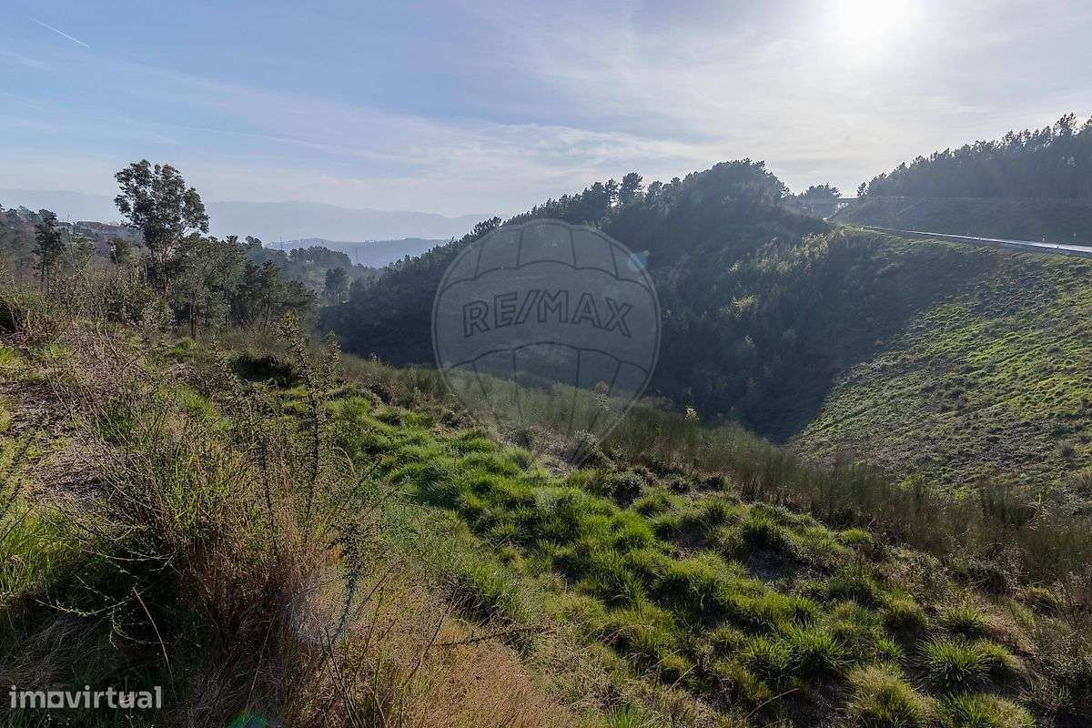 Quinta  para venda-6