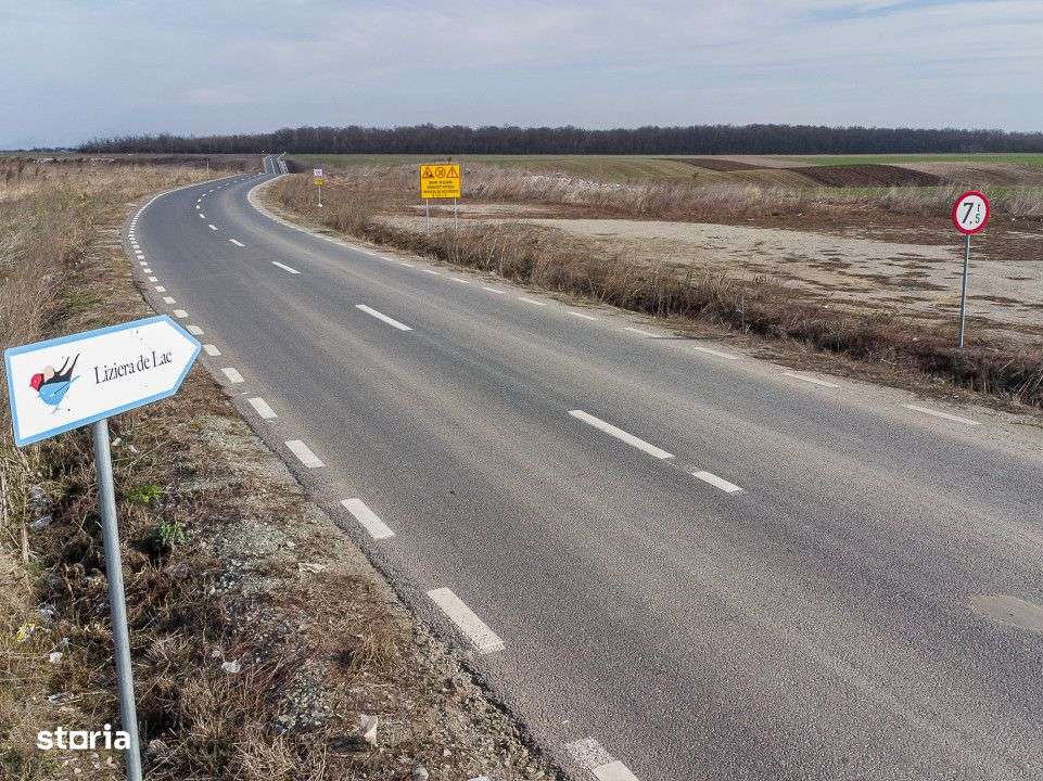 Teren intravilan la asfalt si statie autobuz Ilfov Cernica Posta-9