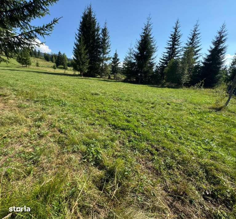 Vanzare 33400 parcelat- 18 loturi - Plaiul Sarului la sosea- microdezv-15