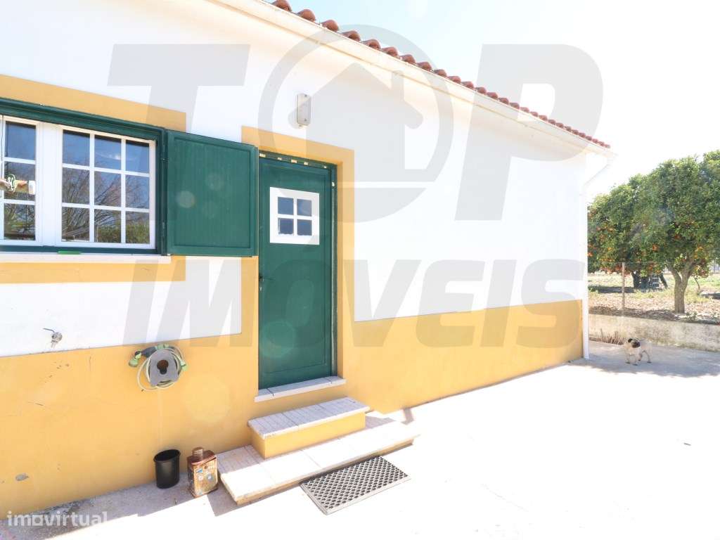 Moradia V3 - Foros de Salvaterra - Terreno 9155m2 - 425.000€ - Grande imagem: 4/40