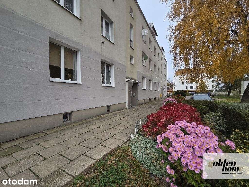 ⭐️Przestronne 3 pok. w pobliżu portu jachtowego⭐️-2