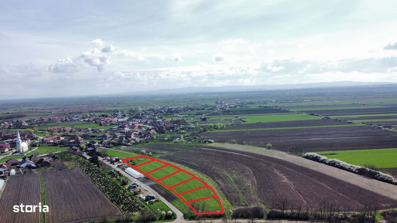 Teren intravilan 729 mp-2