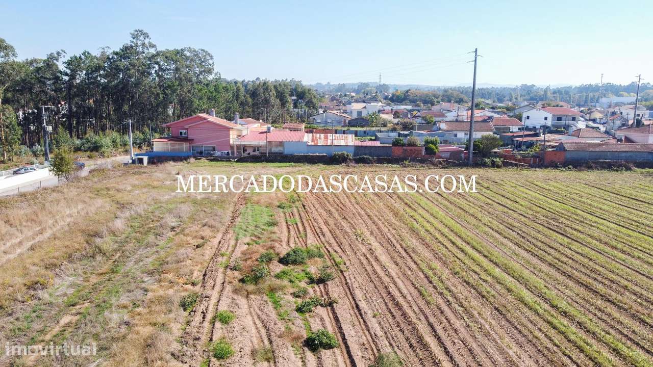 Terreno c/ 16,560m2 - São Miguel de Souto-12