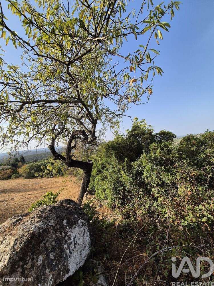 Terreno em Boliqueime de 1570,00 m2 - Grande imagem: 2/18