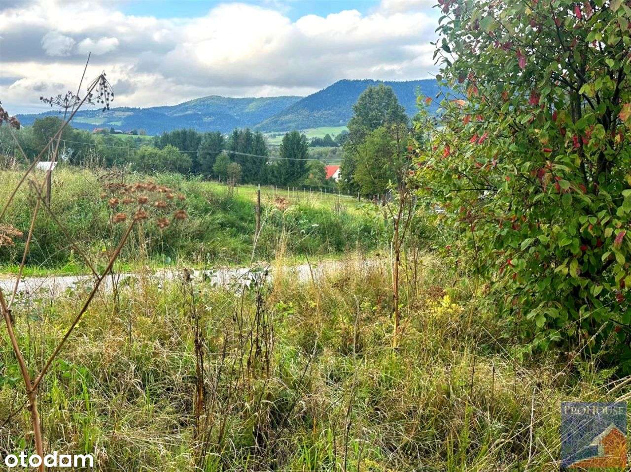 Działka budowlana na terenie gminy Limanowa! - Pełny obrazek: 4/8