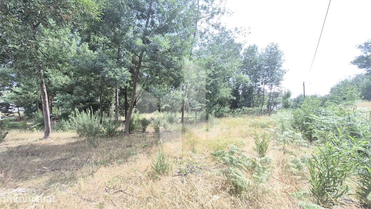 Terreno Para Construção  Venda em Molelos,Tondela-8