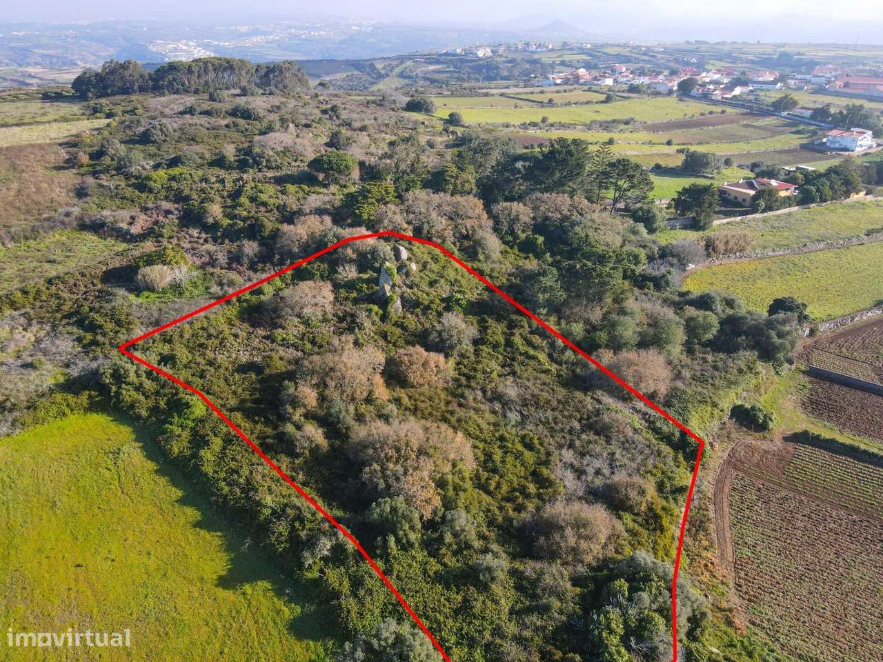 Terreno em Vinha De Chão Rijo - Grande imagem: 5/15